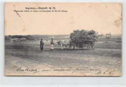 Ukraine - KHARKIV Kharkov - Transporting Wheat To The Fields - Publ. Scherer, Na - Ucrania