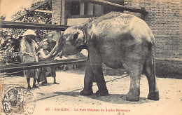 Viet-Nam - SAIGON - Le Petit éléphant Du Jardin Botanique - Ed. A. F. Decoly 185 - Viêt-Nam