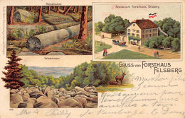 Felsberg (HE) Felsberg Im Odenwald, Das Felsenmeer, Riesensäule, Restaurant Forsthaus Litho. Verlag Gebr. Metz, Tübingen - Odenwald