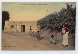 Tunisie - BIZERTE - La Récolte Des Figues De Barbarie - Ed. S. Scamaroni 19 Papi - Tunisia