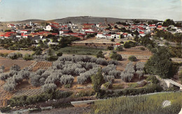 SAIDA - Vue Générale - Saïda