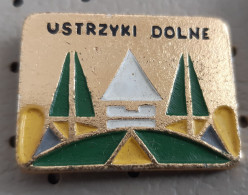 USTRZYKI DOLNE Coat Of Arms Blason Poland Pin - Villes
