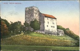 10414686 Schloss Habsburg Schloss Habsburg  X 1929 Habsburg - Andere & Zonder Classificatie