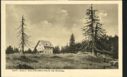 10376164 Rachel Rachel Bayr. Wald Waldschmid - Haus Ungelaufen Ca. 1920 - Sonstige & Ohne Zuordnung