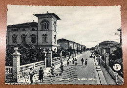 CECINA MARE ( LIVORNO ) VIALE DELLA VITTORIA 1957 - Livorno