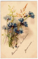 CPA - BLEUETS (2126)_CP541 - Fleurs