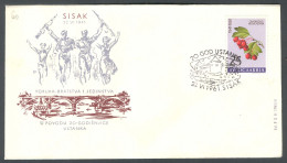 .Yugoslavia, 1961-06-22, Croatia, Sisak, WWII Anniversary, Special Postmark & Cover - Andere & Zonder Classificatie