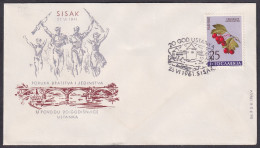 .Yugoslavia, 1961-06-23, Croatia, Sisak, WWII Anniversary, Special Postmark & Cover - Otros & Sin Clasificación