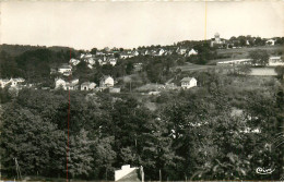 02* MONTREUIL AUX LIONS  Vue Generale  (CPSM 9x14cm)     RL21,0262 - Autres & Non Classés