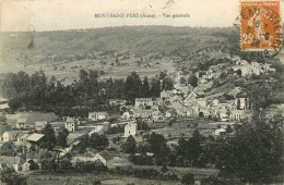 02* MONT ST PERE  Vue Generale      RL21,0229 - Autres & Non Classés