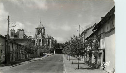 10* CHAVANGES  Rue Du Bois  (CPSM 9x14cm)    RL21,1002 - Autres & Non Classés