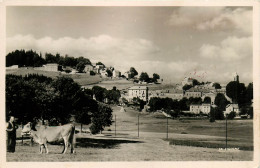 07* ST AGREVE  Vue Generale     RL21,0816 - Saint Agrève