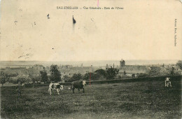 14* SALLENELLES  Vue Generale – Baie De L Orne       RL21,1602 - Sonstige & Ohne Zuordnung