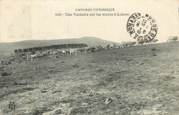 12* AUBRAC  Une Vacherie  Sur Les Monts      RL21,1254 - Autres & Non Classés