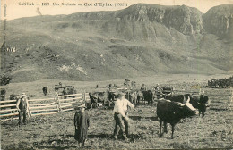 15* COL D EYLAC    Une Vacherie      RL21,1920 - Viehzucht