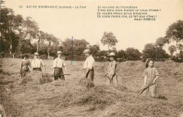 14* NORMANDIE  La Fenaison     RL21,1876 - Landbouw
