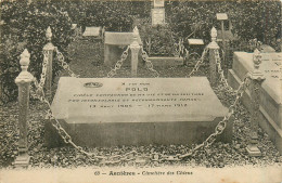 92* ASNIERES  Cimetiere Des Chiens - « polo »        RL32,0459 - Antony