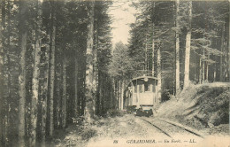 88* GERARDMER  En Foret- Tram    RL32,0153 - Gerardmer