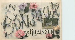 92* ROBINSON  « un Bonjour »      RL32,0599 - Le Plessis Robinson