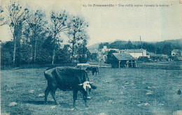 95* FRANCONVILLE  « un Vieille Copine »  Vache       RL32,1179 - Franconville