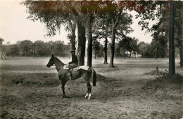 78* MAISONS LAFFITTE Cheval A     L Entrainement  CPSM (9x14cm)  RL32,1146 - Maisons-Laffitte