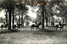 78* MAISONS LAFFITTE    L Entrainement  CPSM (9x14cm)  RL32,1145 - Maisons-Laffitte