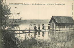 73* AIGUEBELETTE Le Lac – Ponton De Chambost  RL43,0470 - Autres & Non Classés