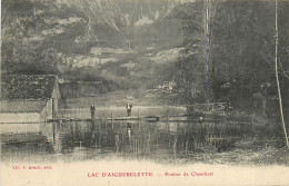 73* AIGUEBELETTE Le Lac – Ponton De Chambost  RL43,0469 - Autres & Non Classés