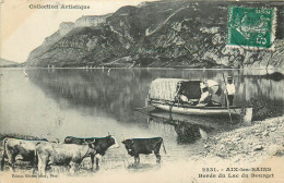 73* AIX LES BAINS  Bords Du Lac Du Bourget – Vaches         RL43,0361 - Aix Les Bains