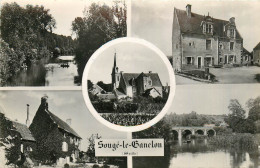 72* SOUGE LE GANELON  Multivues  (CPSM Format 9x14cm)        RL43,0247 - Autres & Non Classés