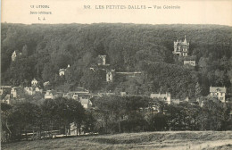 76* LES PETITES DALLES   Vue Generale      RL43,0957 - Otros & Sin Clasificación