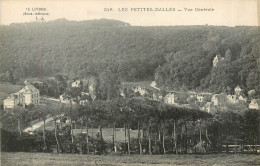 76* LES PETITES DALLES    Vue Generale      RL43,0956 - Sonstige & Ohne Zuordnung