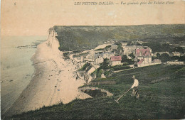 76* LES PETITES DALLES   La Falaise        RL43,0913 - Autres & Non Classés