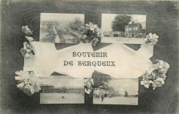 76* SERQUEUX  « souvenir »  Multivues        RL43,0885 - Otros & Sin Clasificación