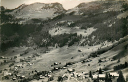 74* CHATEL  Vue Generale   (CPSM Format 9x14cm)        RL43,0654 - Châtel