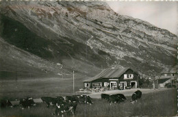 74* COL DES ARAVIS  Chalet  Restaurant « pollet »  (CPSM Format 9x14cm)       RL43,0601 - Sonstige & Ohne Zuordnung