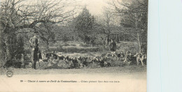 77* FONTAINEBLEAU  -chiens Prenant L Eau    RL43,1173 - Caza