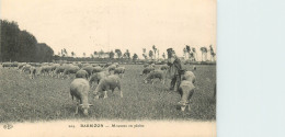 77* BARBIZON  Moutons En Plaine        RL43,1089 - Crías