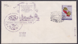 .Yugoslavia, 1961-06-25, Croatia, Sisak, WWII Anniversary, Special Cover & Postmark - Altri & Non Classificati