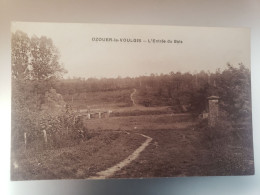 Ozouer Le Voulgis - L'entree Du Bois - Andere & Zonder Classificatie