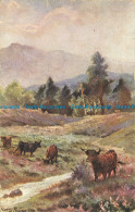 R625799 Cattle In Highlands. Tuck. Oilette. 9007. Among Gorse And Heather. Harry - World