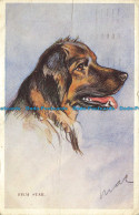 R625823 Film Star. Dog. Tailwagger Postcard. Valentines. 964. 1946 - World