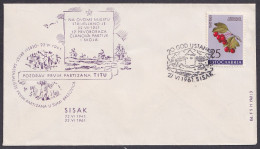 .Yugoslavia, 1961-06-27, Croatia, Sisak, WWII Anniversary, Special Cover & Postmark - Other & Unclassified