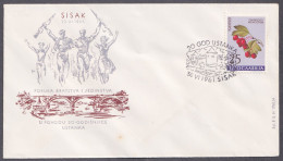 .Yugoslavia, 1961-06-30, Croatia, Sisak, WWII Anniversary, Special Postmark & Cover - Other & Unclassified