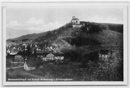 39102321 - Neckarmuehlbach Mit Schloss Guttenberg Und Erholungsheim Ungelaufen  Gute Erhaltung. - Autres & Non Classés