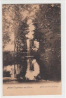 39098121 - Nieder-Ingelheim Am Rhein.  Ein Blick Auf Villa Carolina Gelaufen, 1905. Gute Erhaltung. - Mainz