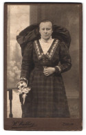 Fotografie H. Bichler, Steyr, Bahnhofstr., Portrait Dame Im Karierten Trachtenkleid Mit Kopfschleife  - Anonymous Persons