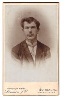 Fotografie Samson & Co., Zwickau I /Sa., Marienplatz 4, Portrait Junger Herr Im Anzug Mit Krawatte  - Anonyme Personen