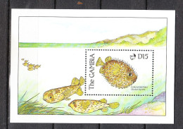 Gambia  -  1989. Pesce Porcospino. Porcupine Fish. MNH - Poissons