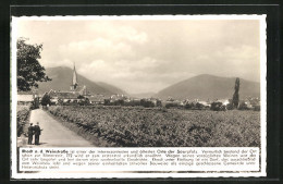 AK Rhodt /Weinstrasse, Blick Von Einer Landstrasse Auf Den Ort  - Altri & Non Classificati